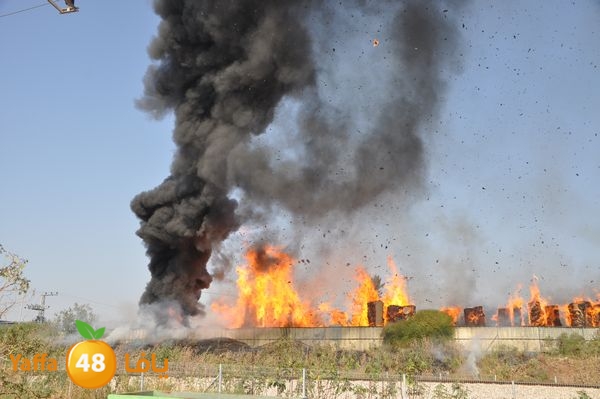 firecartoonsecnd506 (9).JPG